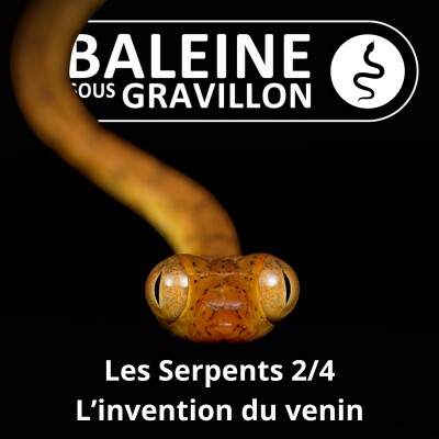 S02E45 Les Serpents 2/4 : La fabuleuse invention du venin cover