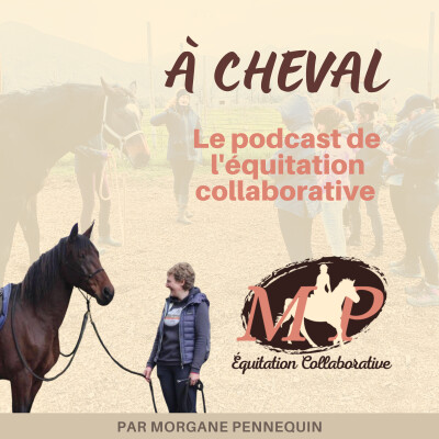 186.  [Paroles de propriétaires] Sur le papier ça cochait toutes les cases, et pourtant... Avec Sophie, propriétaire d’Aria BEST OF cover