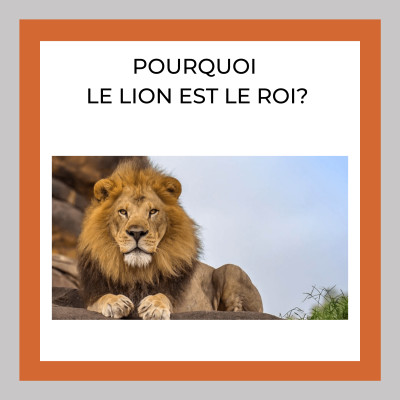 Pourquoi le lion est le ROI des animaux?-26 cover