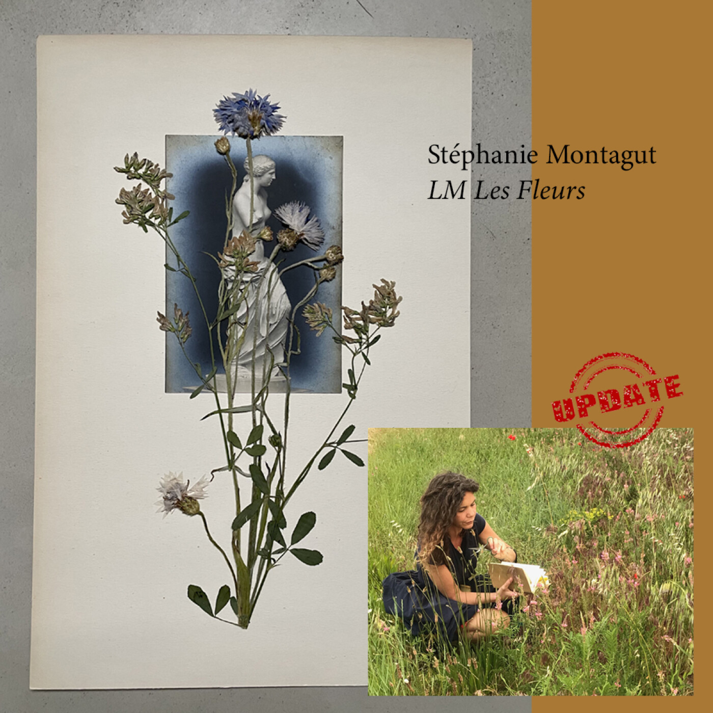 LM les fleurs, des herbiers revisités plein de poésie (UPDATE #4)
