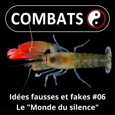 S06E06 Idées fausses : Le "monde du silence", cacophonie ou symphonie ? cover
