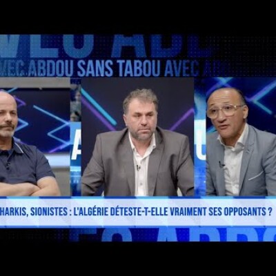 "Harkis", "sionistes" : qui déteste vraiment les opposants en Algérie ? cover