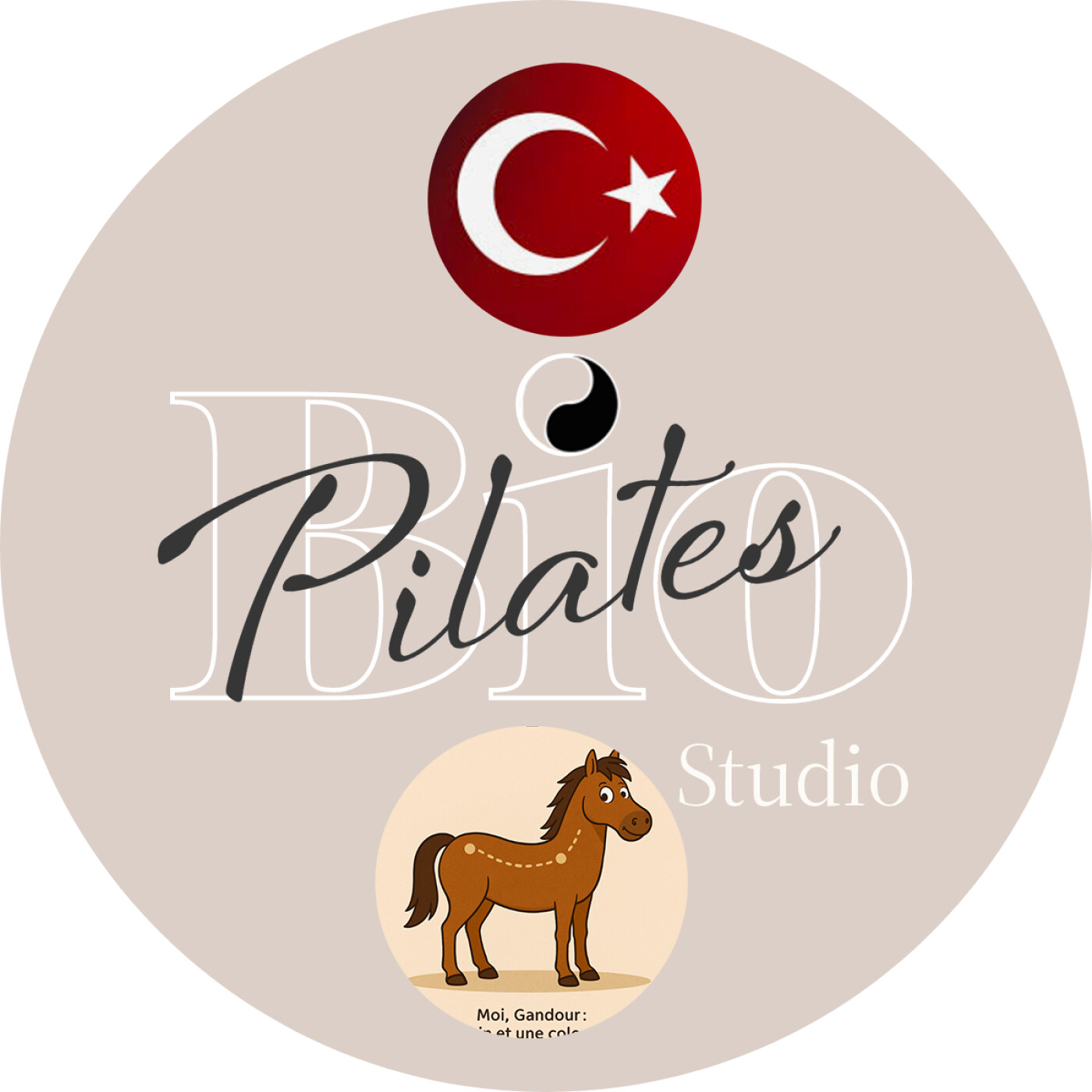 🇹🇷 🐴 At ve Binicide Leğen Kemiği Konumu ve Denge - Stott Pilates Pelvis Placement episode artwork