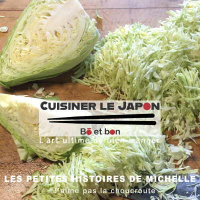 LES PETITES HISTOIRES DE MICHELLE - J'aime pas la choucroute cover