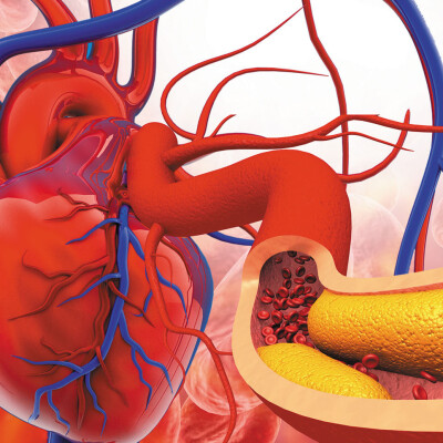S6 - Spécial Nouvelle Année & Santé Cardiovasculaire  - #236 cover