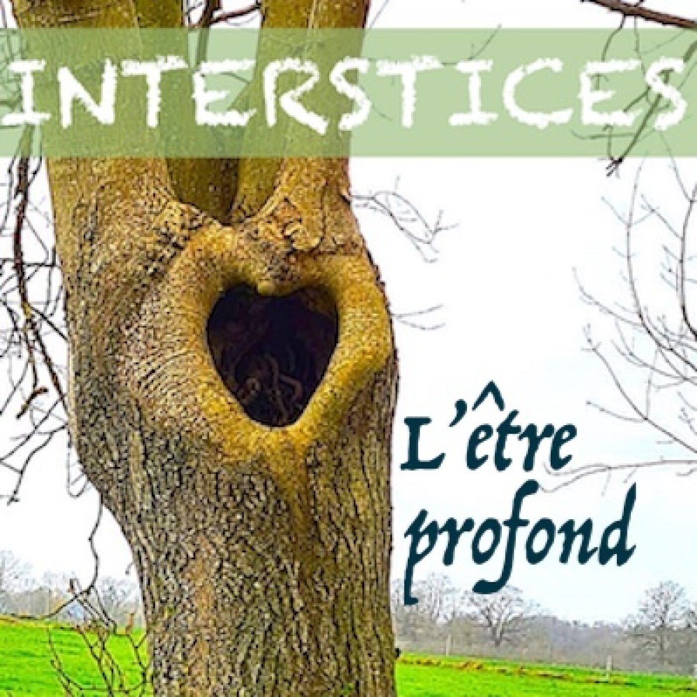 INTERSTICES