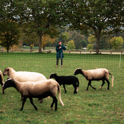 Ep. 44#Sarah Fanjat : "Peu x Souvent = Beaucoup" cover