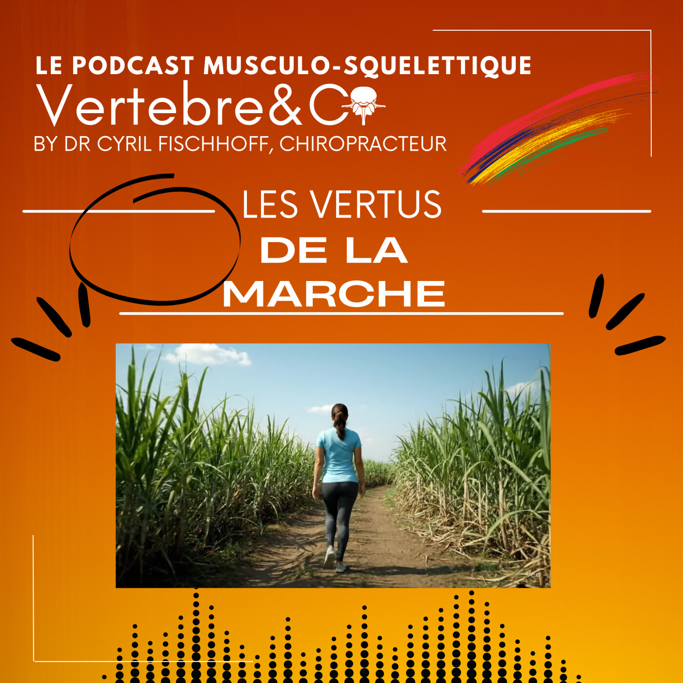 Les Vertus de LA MARCHE !