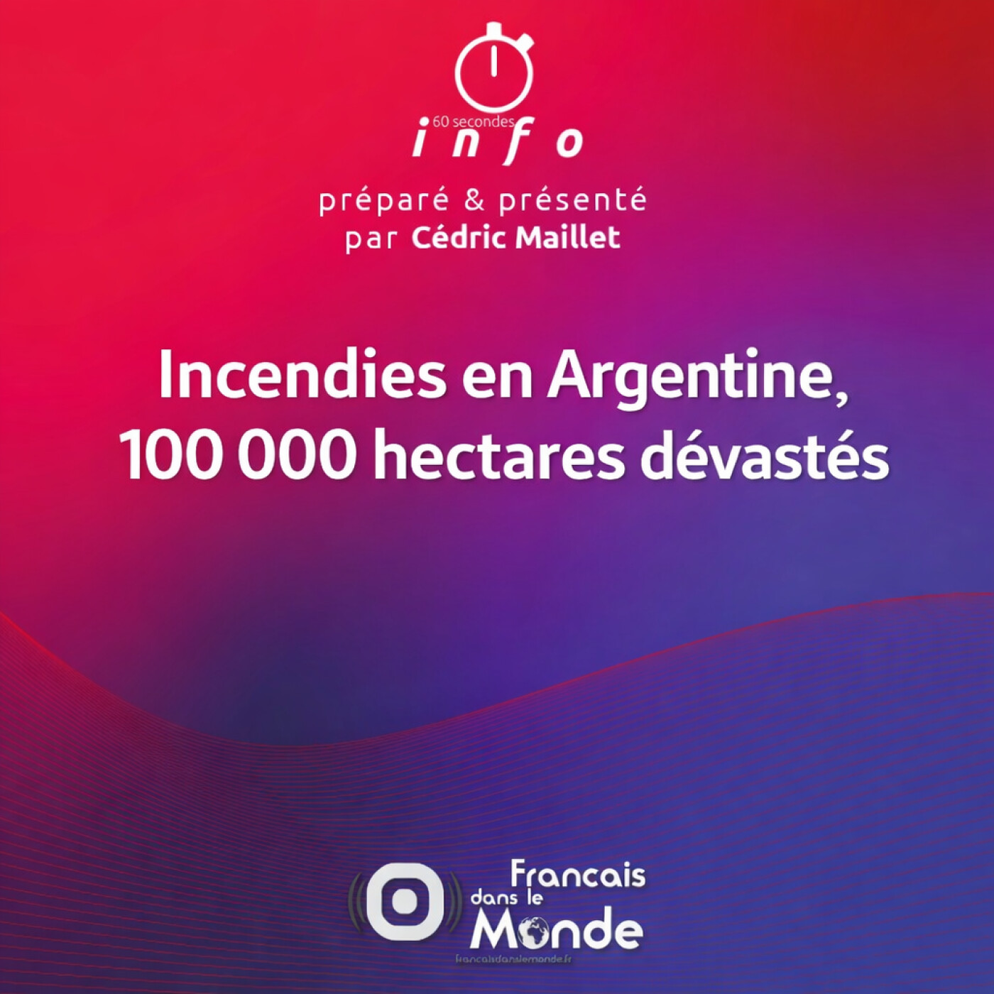 Incendies en Argentine, 100 000 hectares dévastés