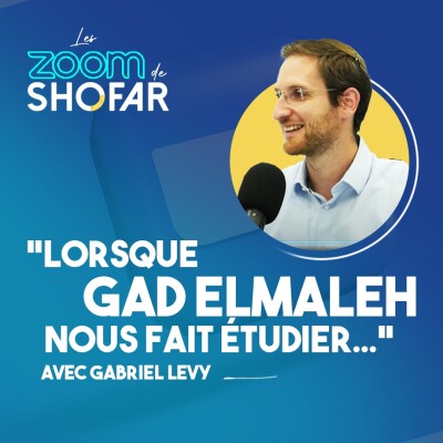 Lorsque Gad Elmaleh nous fait étudier... cover