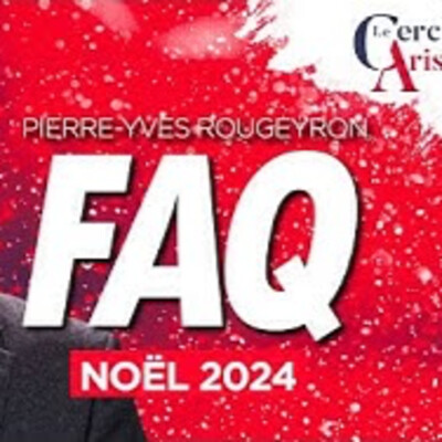 La PYR des FAQ - Noël 2024 - P.Y. Rougeyron - # politique cover