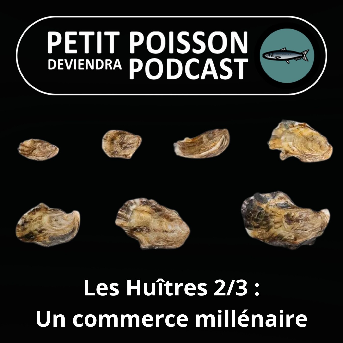Petit Poisson deviendra Podcast