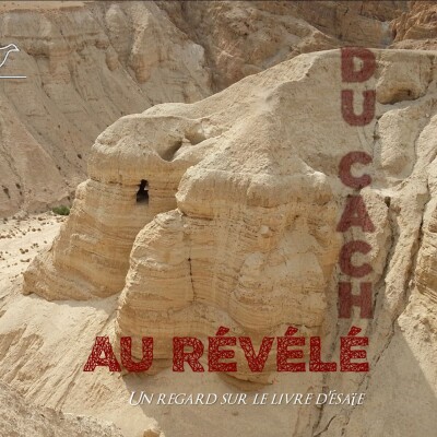 8 - La révélation de l'expiation cover