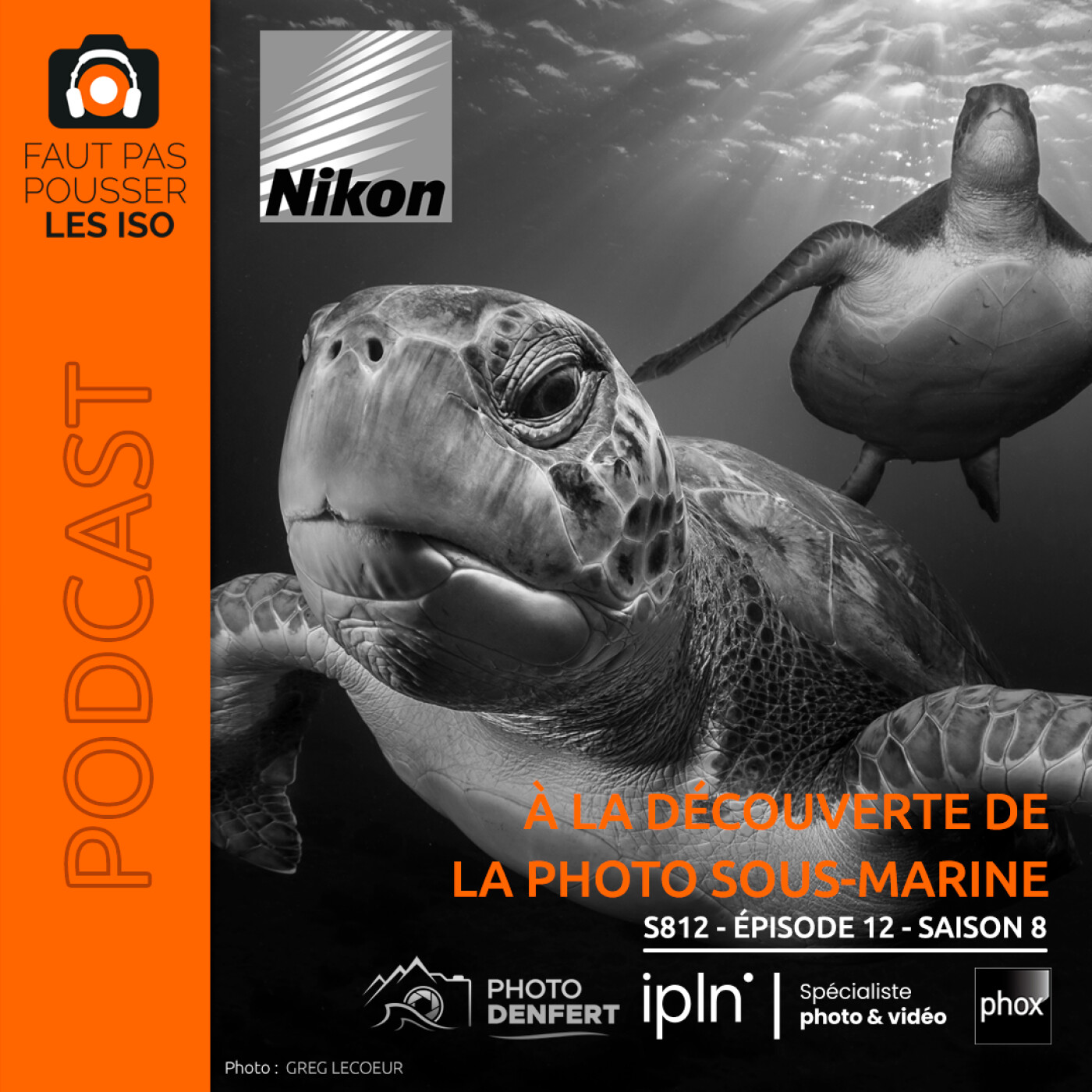 S812 - MASTERCLASS : À LA DÉCOUVERTE DE LA PHOTOGRAPHIE SOUS-MARINE