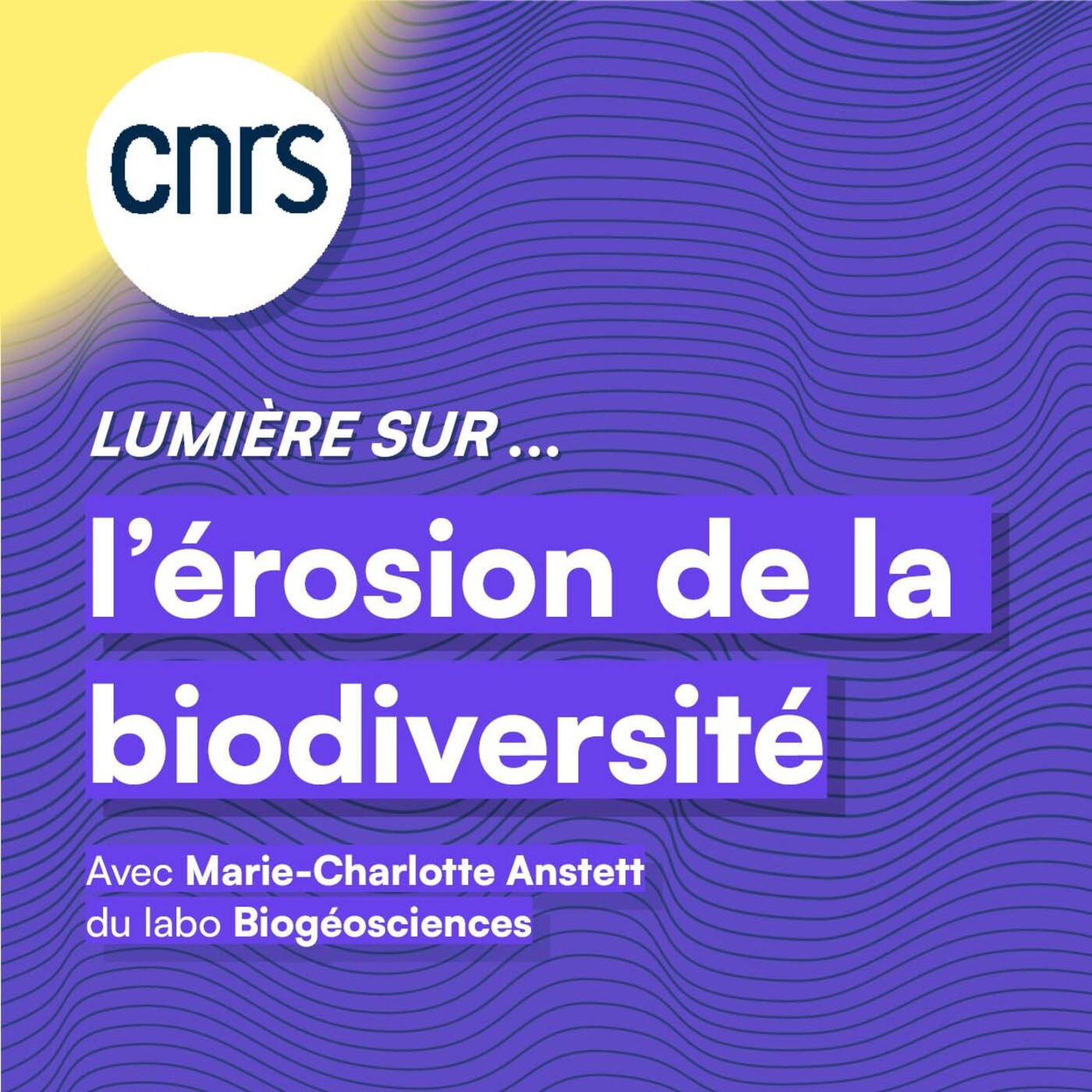 Lumière sur... L'érosion de la biodiversité episode artwork