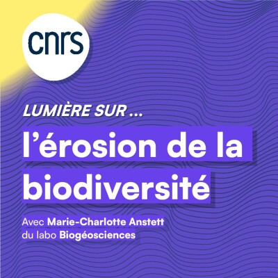 Lumière sur... L'érosion de la biodiversité cover