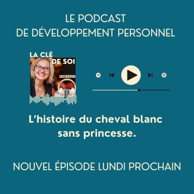 #26 L'histoire du cheval blanc sans princesse. cover