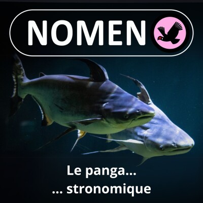 S03E15 Le Panga... stronomique cover