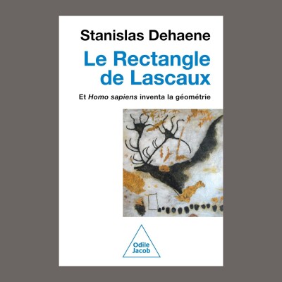 Stanislas Dehaene - Le rectangle de Lascaux : et Homo sapiens inventa la géométrie cover