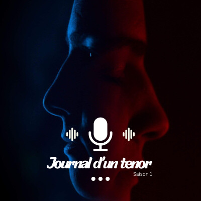 Journal d’un Ténor - : Ecco Ridente in Cielo, Le barbier de Séville cover