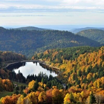 LES VOSGES CA ME DIT - Emission du 15 aout 2026 (Xaronval, mais pas que) cover