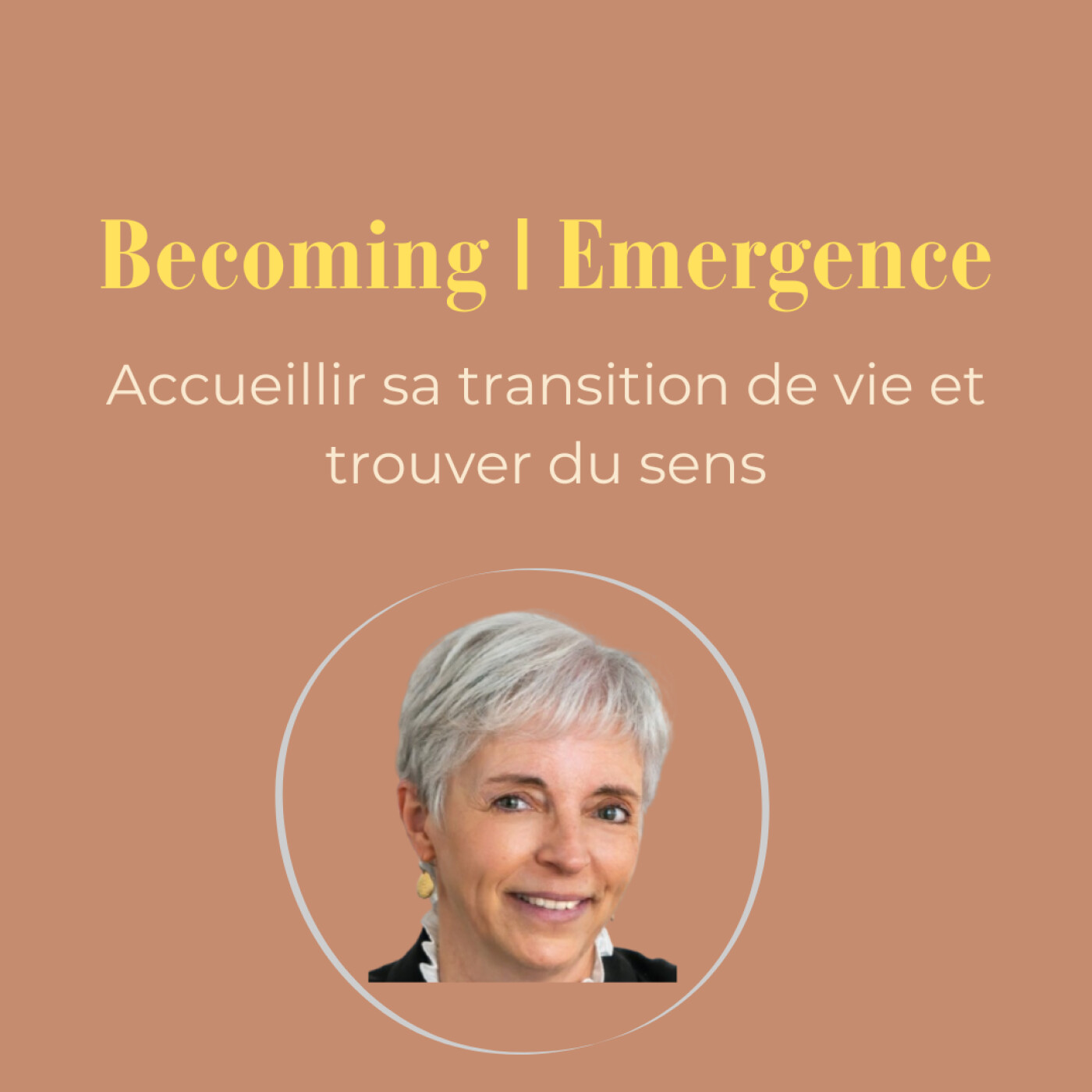 Connais-tu les 3 Etapes d'une Transition? episode artwork