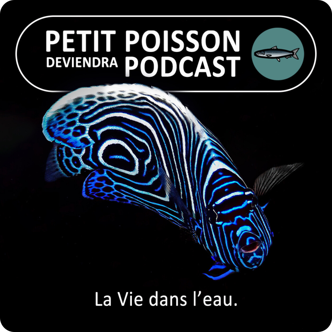 Petit Poisson deviendra Podcast (PPDP) : La Vie dans l'eau episode artwork
