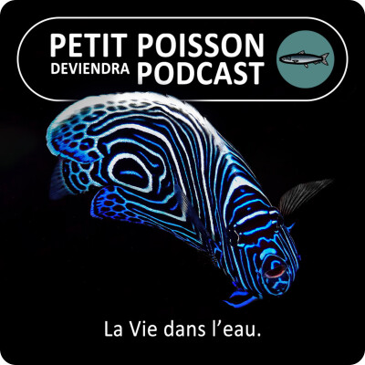 Petit Poisson deviendra Podcast (PPDP) : La Vie dans l'eau cover