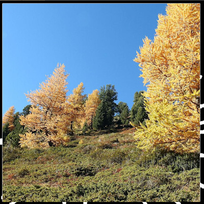 RTVV 150, Cap sur le Bois des Ayes cover