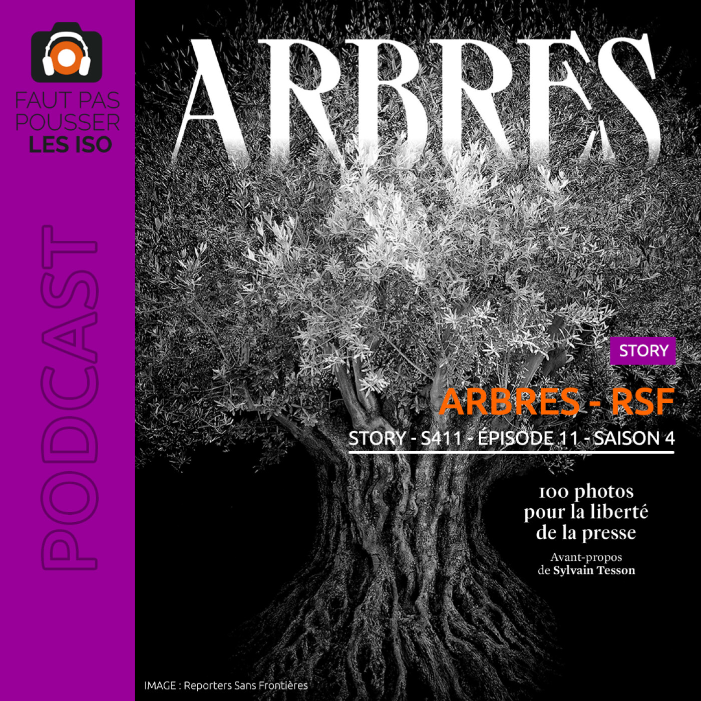 STORY - S411 - Arbres - RSF