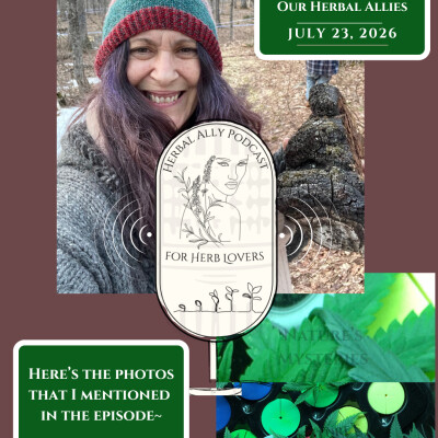 Herbal Ally Podcast for Herb Lovers Episode 67: Spritual Connections with our Herbal Allies cover