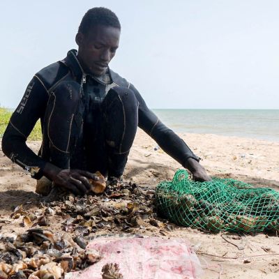 🗣️ Transmission difficile chez les pêcheurs Sénégalais | UNIVOX cover