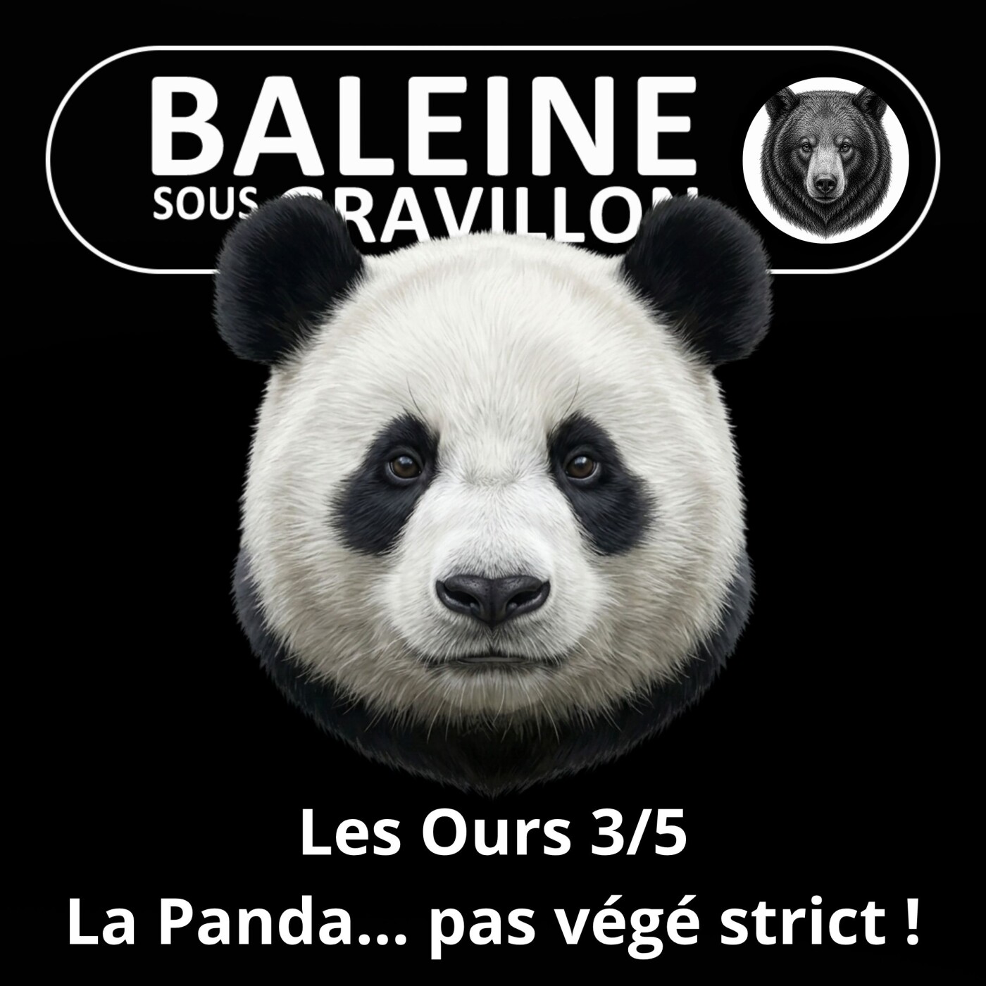 S05E24 Les Ours 3/5 : Le Panda, un carnivore contrarié... et pas si veggie ! (Rémy Marion) episode artwork