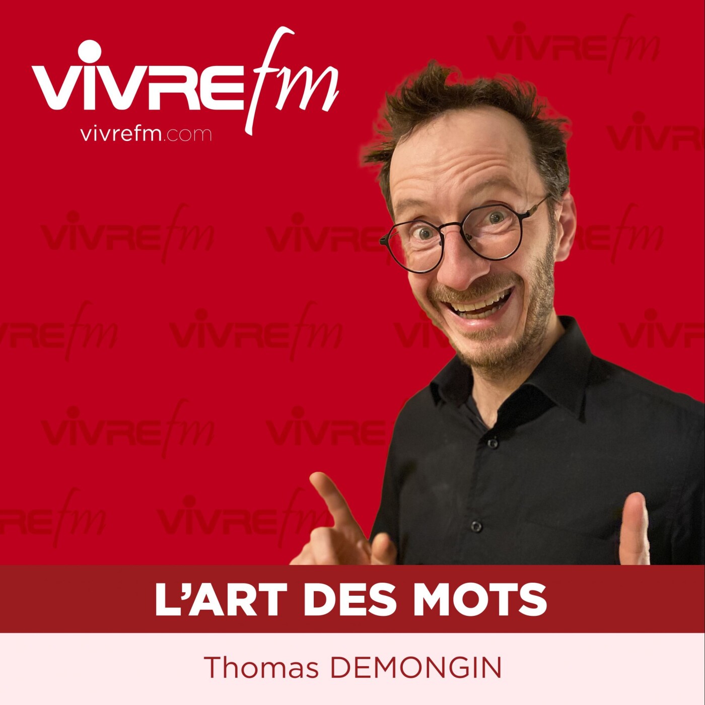 L\'art des mots