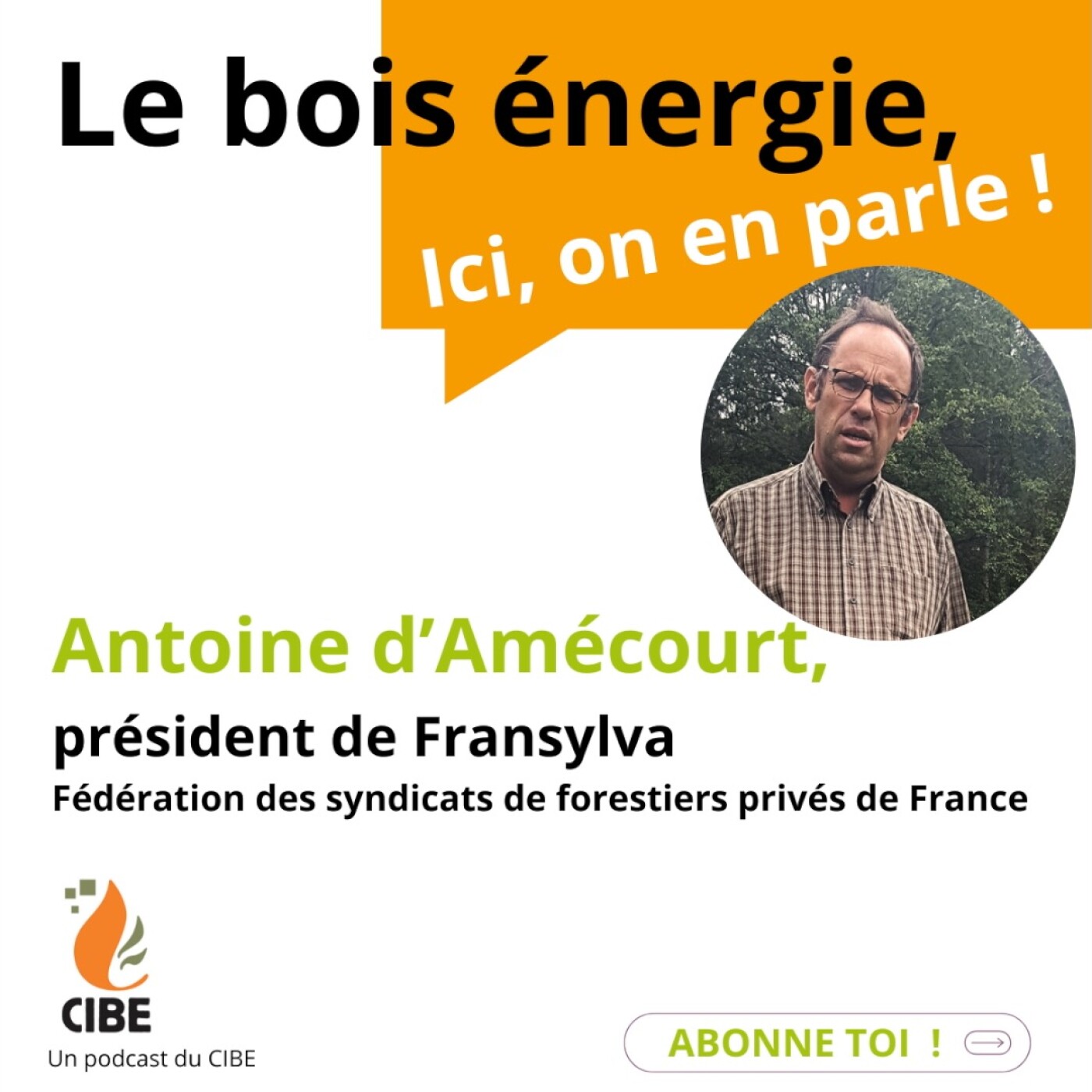 Quel lien entre les coquilles d'oeuf et le bois énergie ?