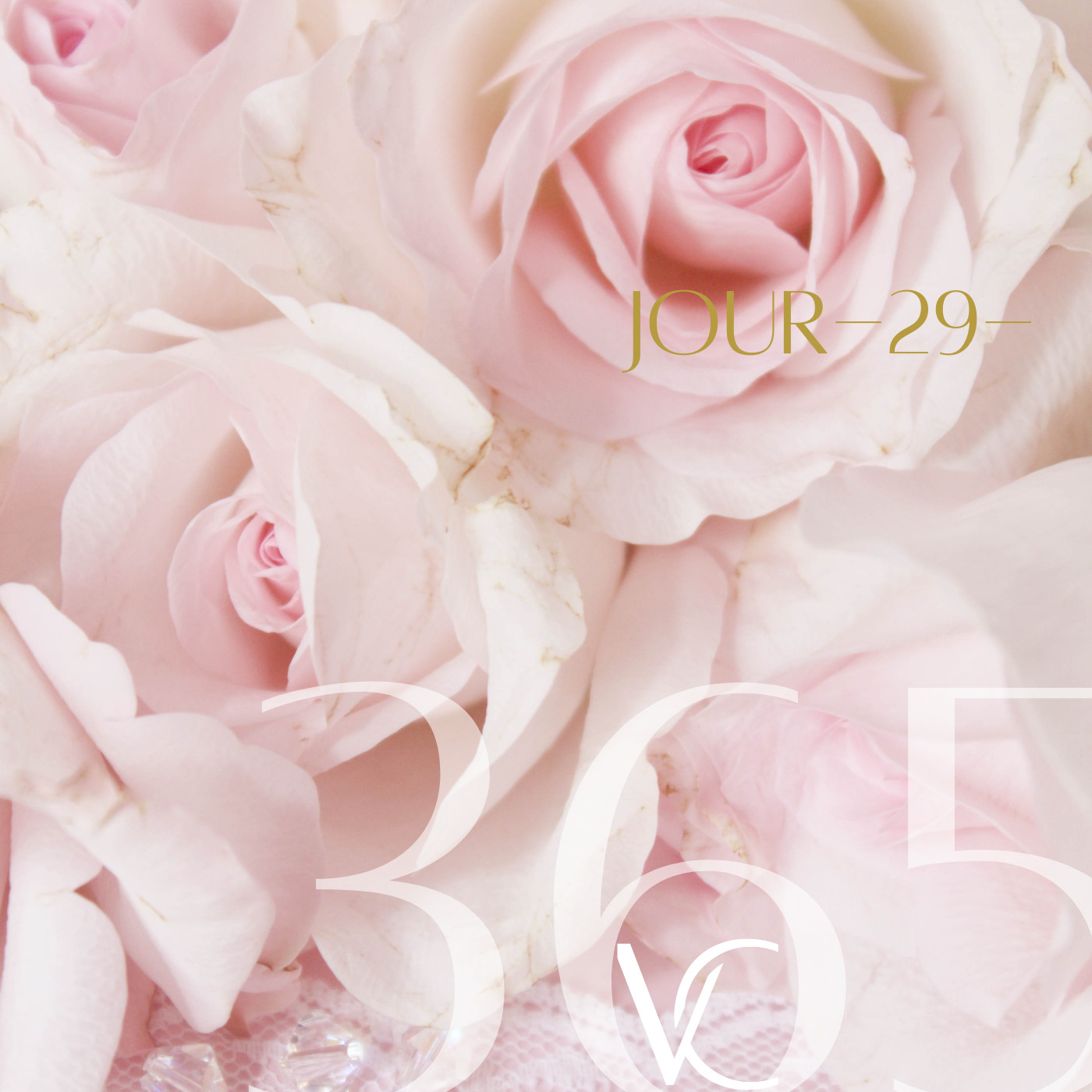 LIVE 365 by Valérie Carchi