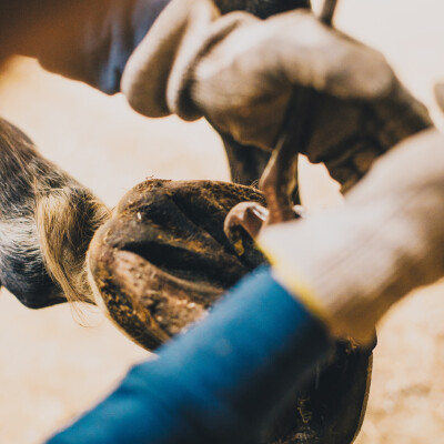 🐎 • Un pied ne se prend pas il se demande ! « Demander - stabiliser - cruse control » cover