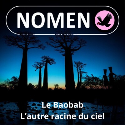 S02E12 Le Baobab : Les autres racines du ciel cover