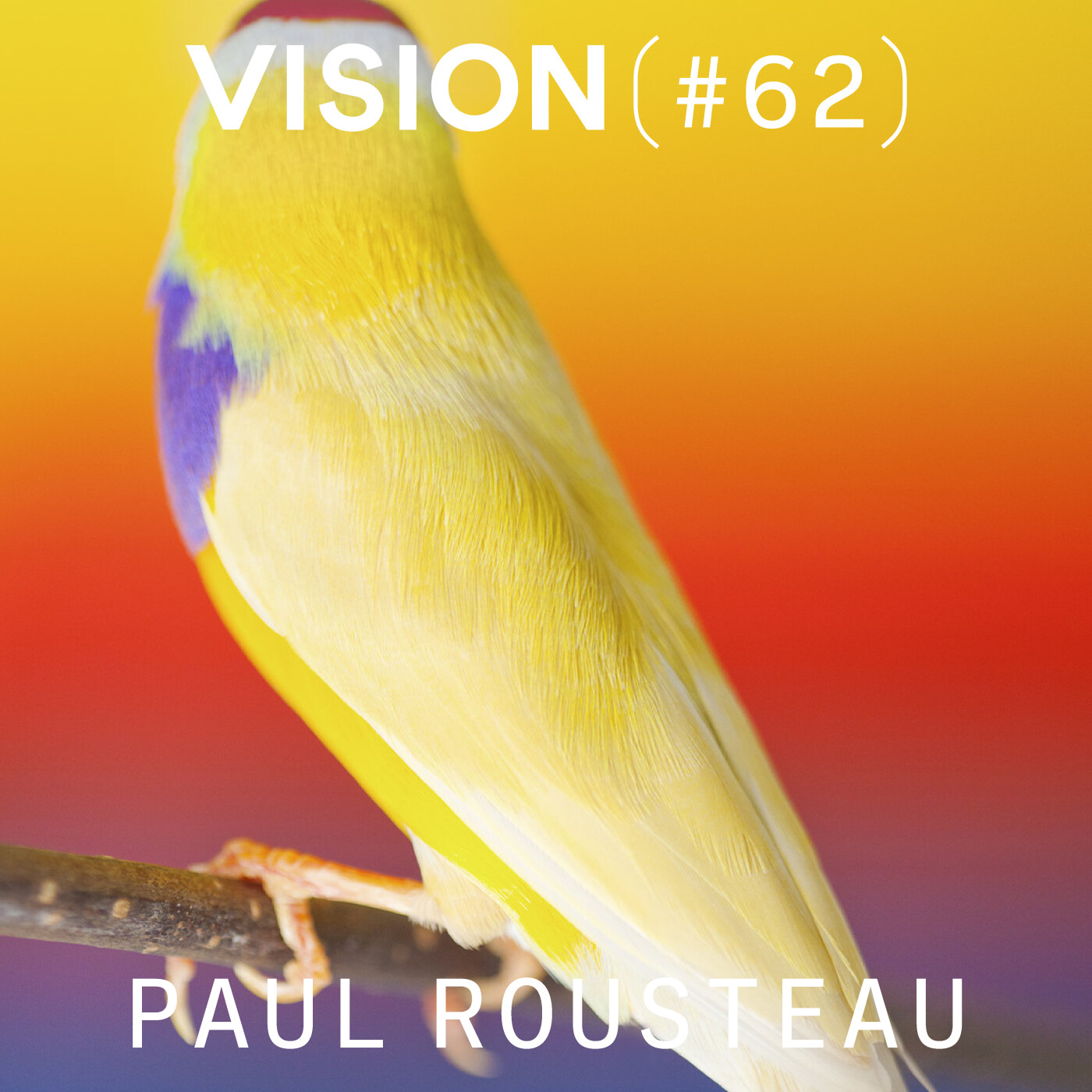 VISION #62 â PAUL ROUSTEAU | « Je suis un punk romantique »