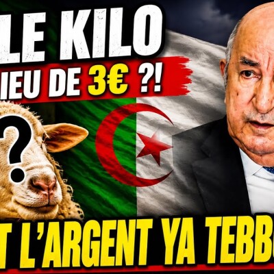 Le scandale des moutons de Tebboune : L’arnaque à 90 millions d'euros qui secoue l'Algérie ! cover