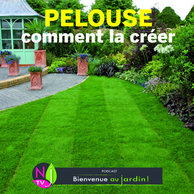 PAROLES D'EXPERTS: COMMENT CRÉER UNE PELOUSE cover