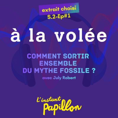 Comment sortir ensemble du mythe fossile ? cover