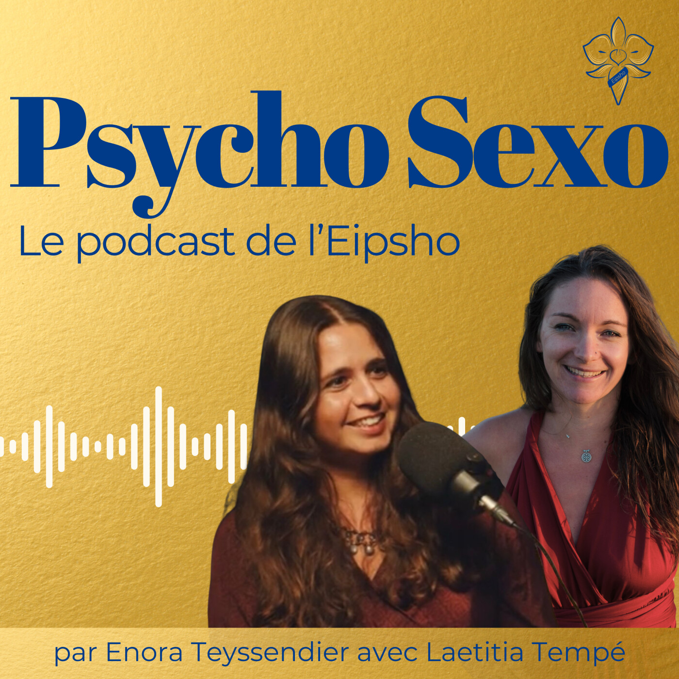 Psycho Sexo - clefs et outils pour accompagner la sexualité et lever les tabous