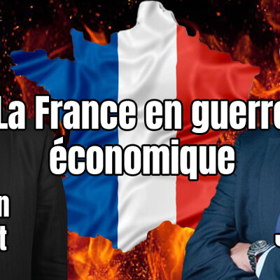 La France en guerre économique cover