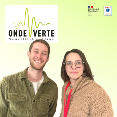 Les achats responsables, l'exemple de Ruel Etiquettes | Elodie Barbas cover
