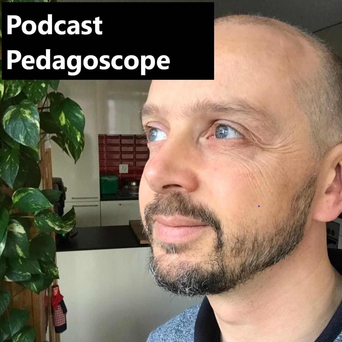 Pedagoscope.ch