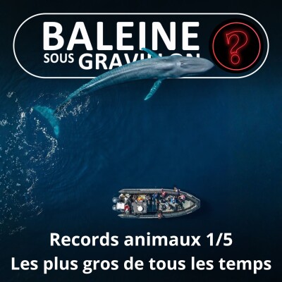 S07E144 Vous avez dit bizarre ? Records 1/5 : Les plus gros animaux de tous les temps cover