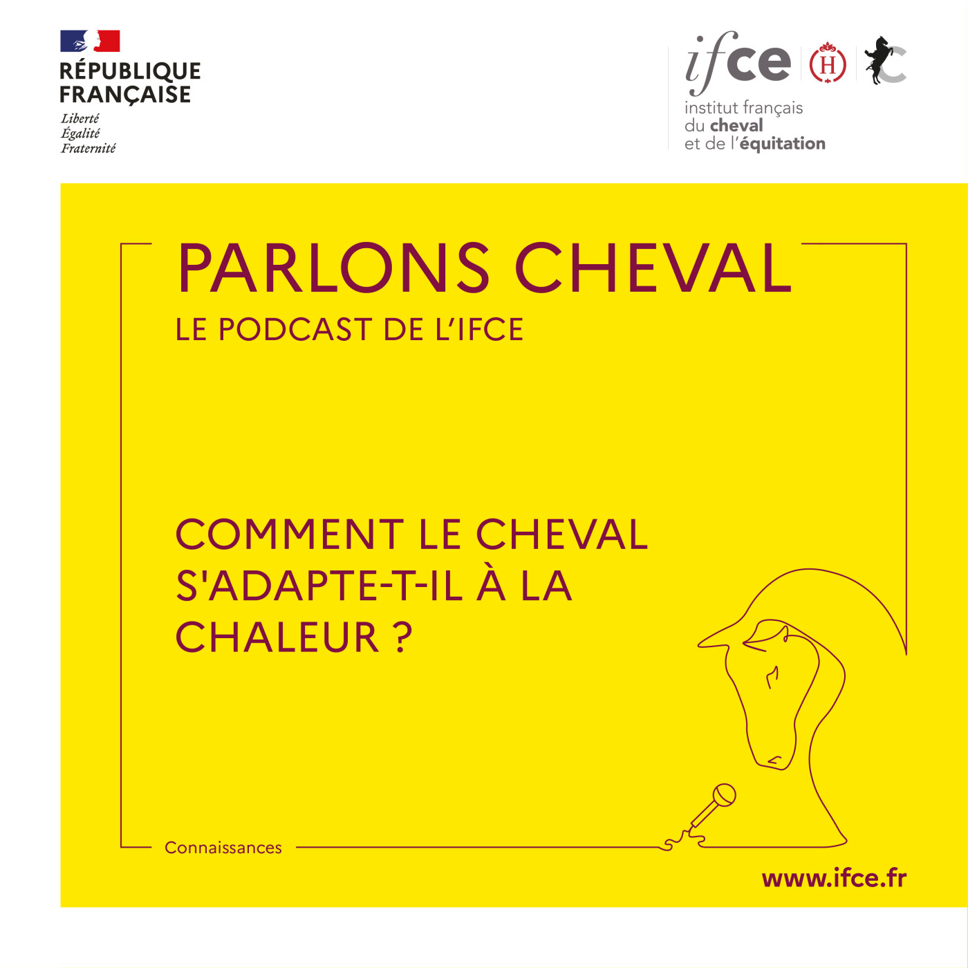 Ép. 94 | Comment le cheval s'adapte-t-il à la chaleur ? - Juliette Auclair-Ronzaud
