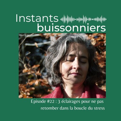 Episode 22 : 3 éclairages pour ne pas retomber dans la boucle du stress cover