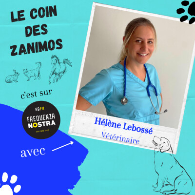 Le coin des zanimos avec Hélène Lebossé - Intoxication au chocolat cover